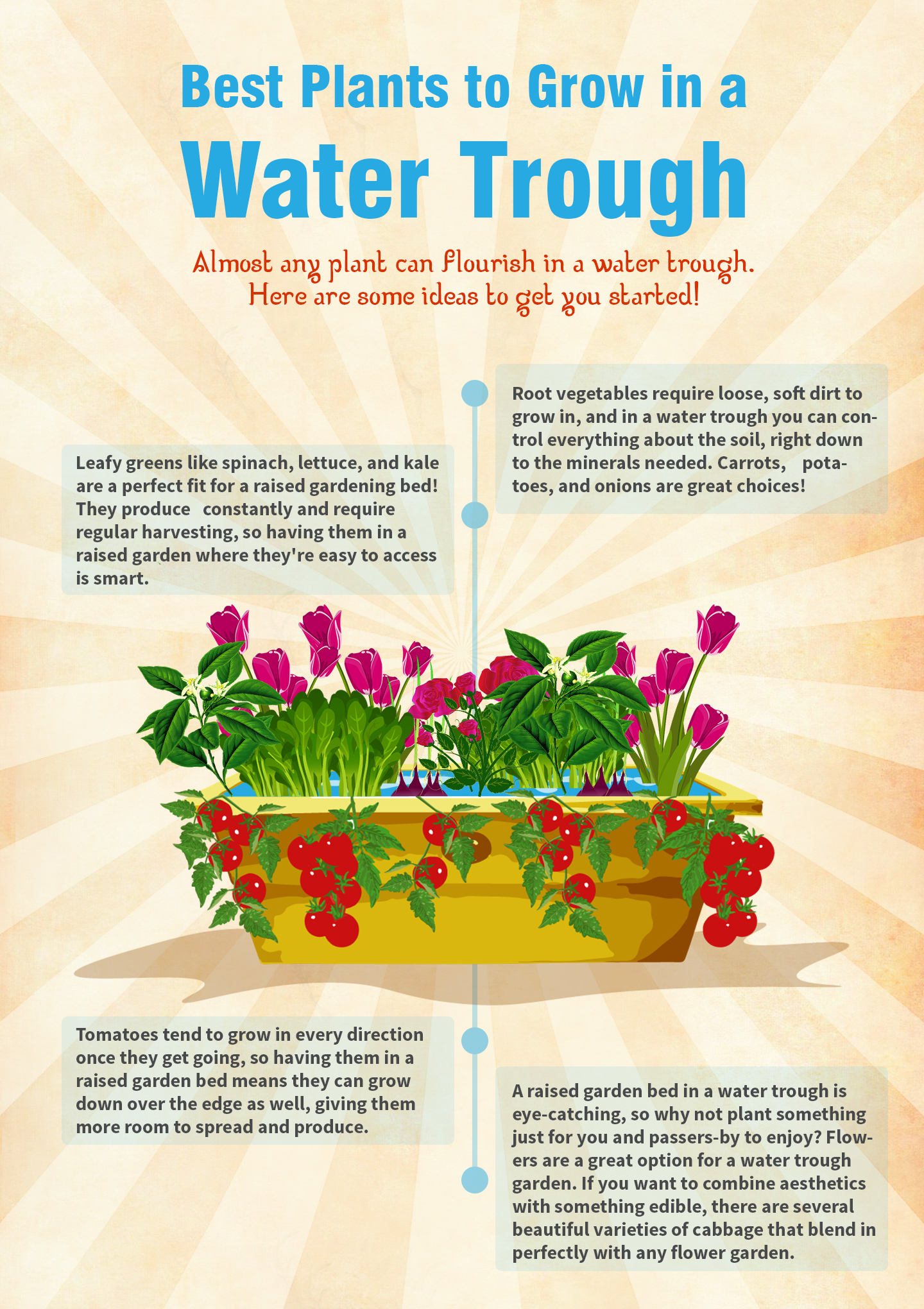 Best-Plants-to-Grow-in-a-Water-Trough
