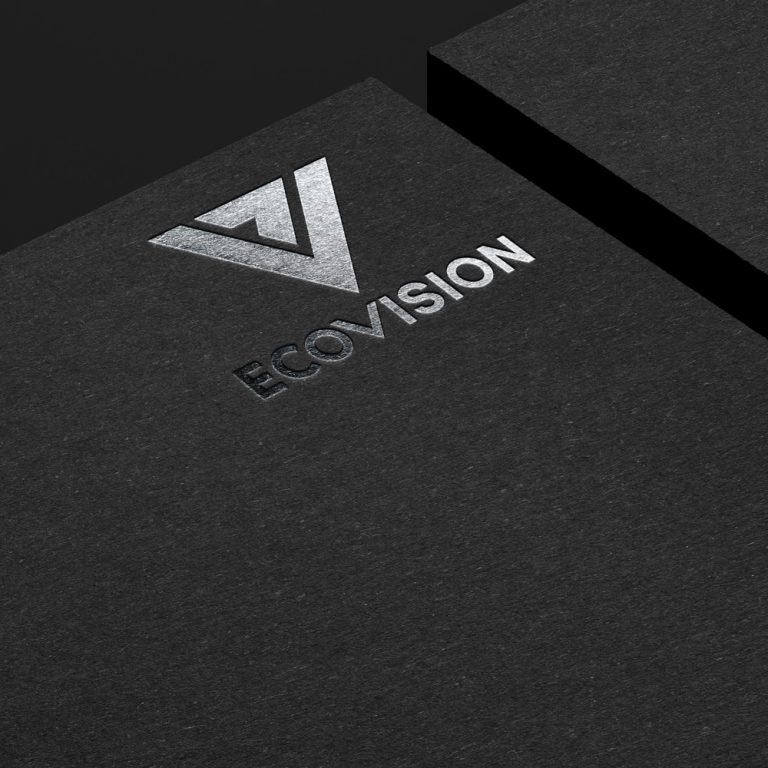 Read more about the article Ecovision Logo Design